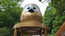 和食・喫茶 ふくろう 椿茶屋