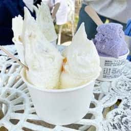 牛窓ジェラート工房 コピオ