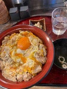 文鳥