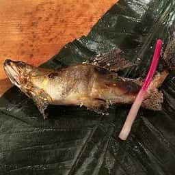 お遊食 おせん
