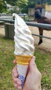 しおのえ ふじかわ牧場