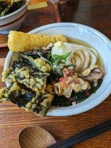 自家製麺 讃岐饂飩 まるは