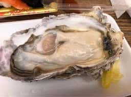 ロイヤルフィッシュ