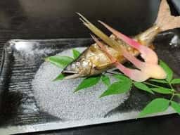 日本料理 綿屋