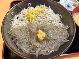 マイアミ貝新