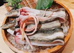 瀬戸内 双忘