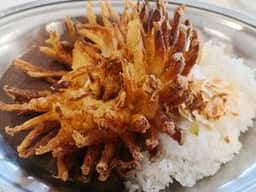 カレーのちから 本店