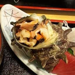 亀寿司食堂