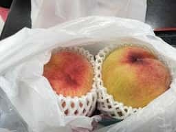 果実の里 原田農園