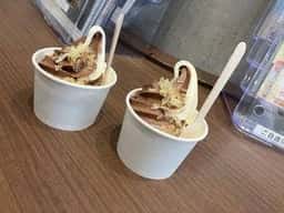 鶴岡市立加茂水族館 波の華