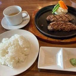 ハンモッグ