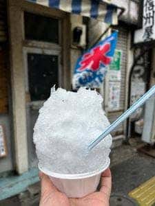 毒島氷室