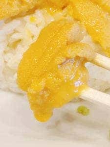 女川海の膳ニューこのり