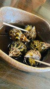 うなぎ 力丸