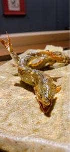 割烹 みやなが