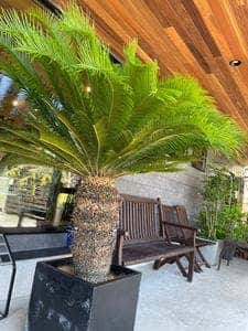 OCgarden