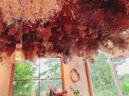 HanaCafe Kikyou 富士大石ハナテラス