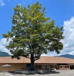 湖の駅 さめうらカヌーテラス カフェ