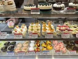 ヴィザヴィ薬院店