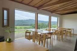Cafe de Camino