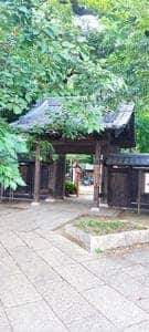 四季の花