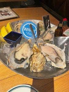 梅田 Oyster Bar wharf