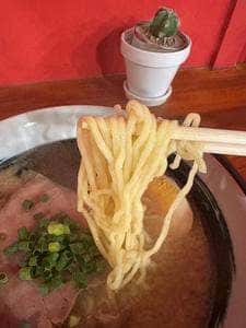 MAGMA NOODLE