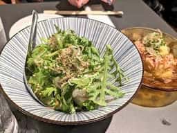 西口アオギリ