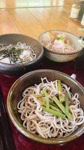 そば処 清見庵 おおくら店