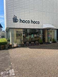 カフェhocohoco