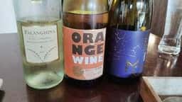 WINE SHOP ACCATONE539