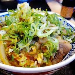 吉野家 尾久橋通り皿沼店