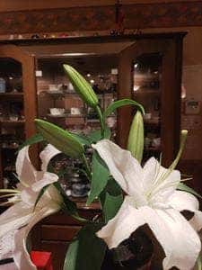 花治