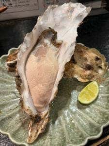 しゃち