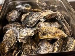 Oyster & Spanish Italian Girasole