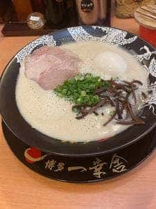 博多一幸舎 博多デイトス店