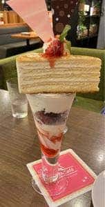 キャッツカフェ港店