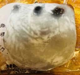岡埜栄泉
