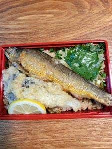 角上魚類 相模原店