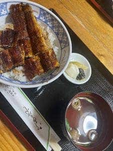 やよい
