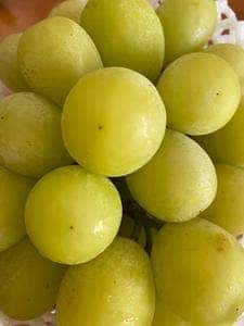 JAえひめ中央おひさま食堂