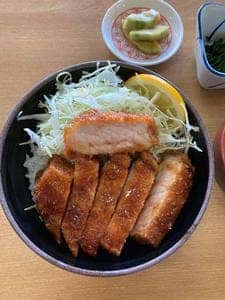 ソースかつ丼 我山