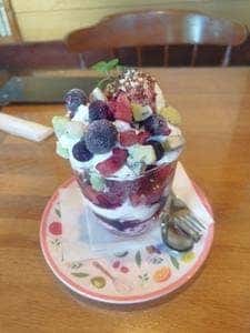 木の実