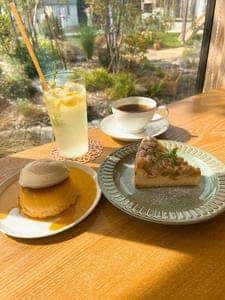 HARUMACHI coffee