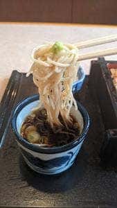 はつね