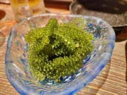 うちなぁたいむ