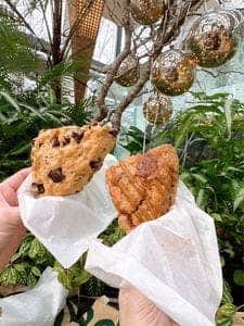 スターバックス コーヒー よみうりランドHANA・BIYORI店