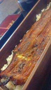 鰻と炭火焼き とよ長