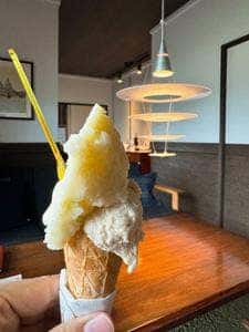 オーガニックジェラート GELATO NATURALE