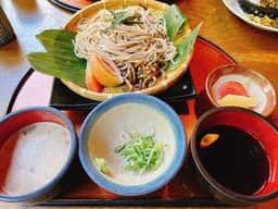 茶茶 飛騨高山店 じねんのむら
